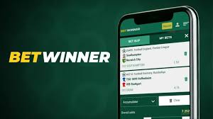 Exclusive Offers with Betwinner Promo Code