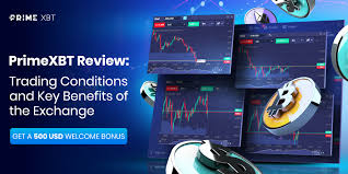 Trading on PrimeXBT in Argentina A Comprehensive Guide -616603796