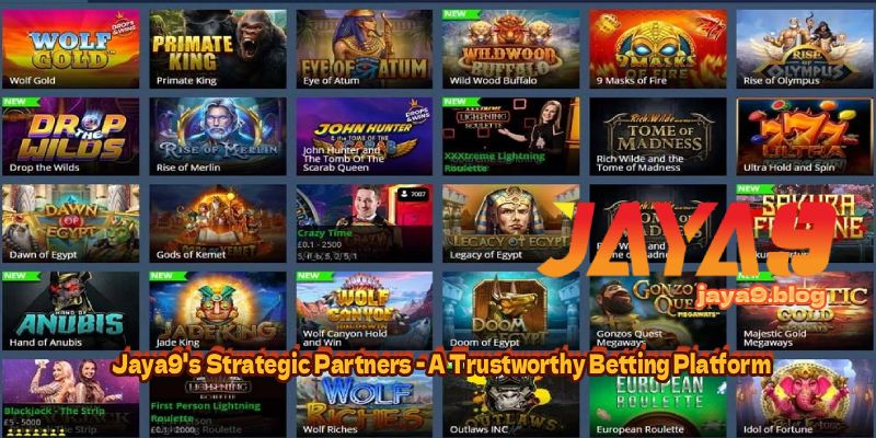 T20 Betting Guide for Beginners Mastering the Game