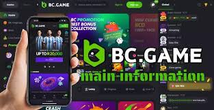 Understanding BC.Game Withdrawals A Comprehensive Guide Understanding BC.Game Withdrawals A Comprehensive Guide